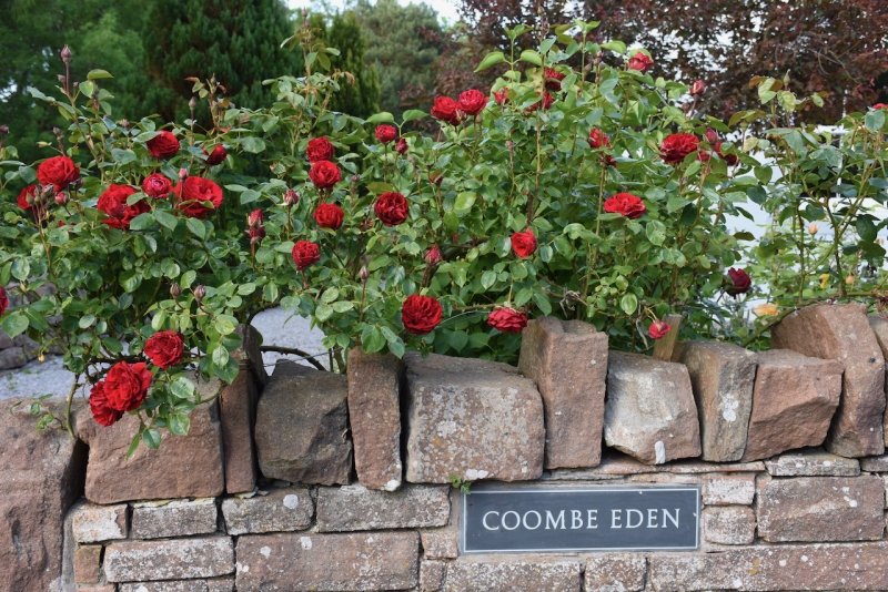 Coombe Eden